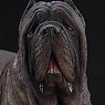 Mr.z 1/6 Neapolitan Mastiff Figure Tabby (Fashion Doll)