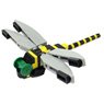 Nanoblock+ Golden-ringed Dragonfly (Block Toy)