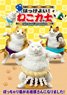 Hakkeyoi! Cat Sumo Wrestlers (Set of 6) (Shokugan)