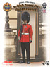 British Queen`s Guards Grenadier (Plastic model)