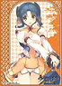 Character Sleeve Utawarerumono: Itsuwari no Kamen Atui (EN-225) (Card Sleeve)