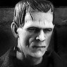 ONE:12 Collective/ Universal Monsters Frankenstein 1931: Frankenstein Monster 1/12 Action Figure (Completed)