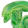 AVP Alien vs. Predator / Alien Warrior Grow in the Dark 7 inch Action Figure(Completed)