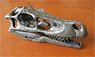 Scull of Velociraptor (9.5cm) (Plastic model)