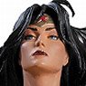 DC Comics Designer/ Adam Hughes Wonder Woman Statue (Completed)