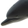 Bottlenose Dolphin Vinyl Model (Animal Figure)