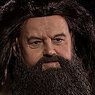Star Ace Toys My Favorite Movie Series Harry Potter and the Sorcerers Stone 1/6 Rubeus Hagrid Collectible Action Figure (Completed)