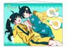 PS Nisemonogatari B2 Tapestry Fire Sisters (Anime Toy)