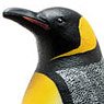 King penguin Vinyl Model (Animal Figure)