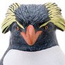 イワトビペンギン ビニールモデル (動物フィギュア)