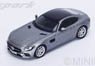 Mercedes-Benz GT (Titanium) 2016 (Diecast Car)