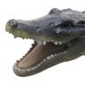 American Alligator Vinyl Model (Animal Figure)