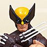 Marvel - Hasbro Action Figure: 6 Inch / Legends - X-Men Series 1.0 - #01 Wolverine (Completed)