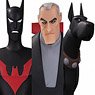 Batman Beyond/ Batman of the Future 6 Inch Action Figure 3PK (Completed)