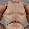 1/6 Male Base Model 2.0 Tall Skin Color Narrow Shoulders (Fashion Doll)