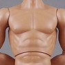 1/6 Male Base Model 2.0 Skin Color Muscle (Fashion Doll)