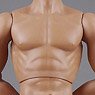 1/6 Male Base Model 2.0 Tall Skin Color Muscle (Fashion Doll)