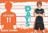 Days Clear File Kiichi Oshiba (Anime Toy)