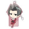 Ace Attorney - The`Truth`, Objection! - Die-cut Pass Case Mitsurugi (Anime Toy)