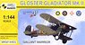 Gloster Gladiator MK.II [Gallant Warrior] (Plastic model)