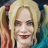 S.H.Figuarts Harley Quinn (Completed)