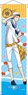 Star-Mu Mini Tapestry Sailor Ver. Seishiro Inumine (Anime Toy)