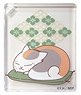 Natsume`s Book of Friends Nyanko-sensei Projection Acrylic Key Ring D (Anime Toy)