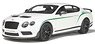 ベントレー コンチネンタル GT3-R (グレイシャーホワイト) (ミニカー)