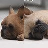 Mr.Z 1/6 French Bulldog Sleep Ver. 002 (Fashion Doll)