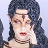 Fantasy Figure Gallery/ Dark Elf 1/4 Resin Statue (Completed)