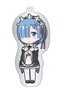 Re: Life in a Different World from Zero King Election Edition Metal Charm (SD) Rem (Anime Toy)