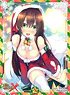 Nexton Girls Sleeve Collection Vol.064 Sengoku Koihime X [Shino (Santa)] (Card Sleeve)