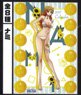 2017 One Piece Body Poster Calendar Nami (Anime Toy)