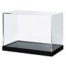 Crystal Plastic Case L-1 (Display)