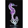 Dual Layer Puzzle Clear Anatomy Model Puzzle Seahorse (Puzzle)