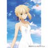 Fate/stay night Unlimited Blade Works to Draw for a Specific Purpose B2 Tapestry Saber (Anime Toy)