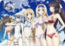 IS (Infinite Stratos) Blanket A (Anime Toy)