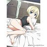 Strike Witches Draw for a Specific Purpose B2 Tapestry Hartmann (Anime Toy)