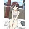 Strike Witches Draw for a Specific Purpose B2 Tapestry Barkhorn (Anime Toy)