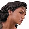 Wonder Woman - Statue: Wonder Woman (On Horseback Version) (Completed)