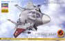 F-15C Eagle `Ace Combat Galm 2` (Plastic model)