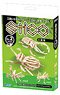 Stico Insect (Educational)
