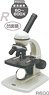 Stage Up Down Microscope R600 (Educational)