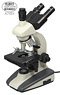 Three Ocular Creature Microscope 3MD1000 (Educational)