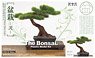 1/12 The Bonsai Plastic Model Kit -Two- (Plastic model)