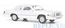 Ford Thunderbird 1980 Silver (Diecast Car)