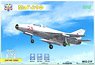 MiG-21F Fighter (Plastic model)