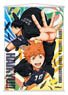 Haikyu!! B2 Tapestry (Anime Toy)