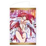 High School DxD BorN B2 Tapestry Rias Gremory (Anime Toy)