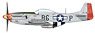 P-51Dマスタング `ジェントルマン・ジム` (完成品飛行機)